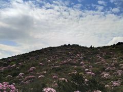 -井冈山风景名胜区
