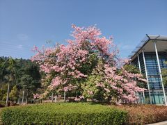 -中国移动南方基地