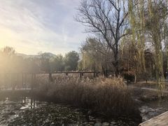 -国家植物园南园