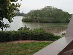 -海珠湖公园