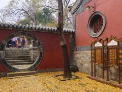 -泰山风景名胜区-普照寺