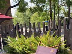 -J Create城市露营咖啡·简餐·宠物(上海动物园店)