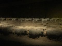-汉景帝阳陵博物院