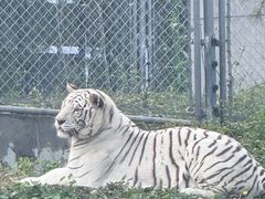 -石家庄市动物园