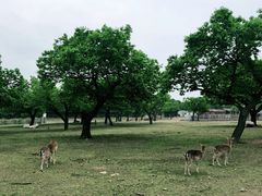-西安秦岭野生动物园