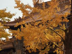 -圆通寺