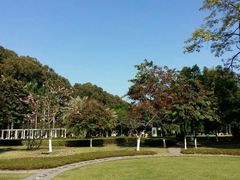 -广东外语外贸大学(白云山校区)