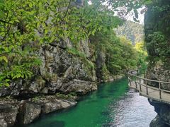 -石台牯牛降景区