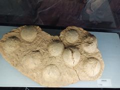 -湖南省地质博物馆