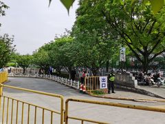 -嘉定紫藤园
