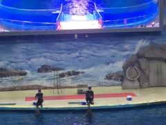 -福州罗源湾海洋世界旅游区