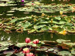 -国家植物园南园