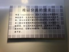 -世界恐龙谷景区