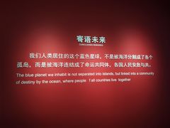 -贝林大翅鲸简餐厅(国家海洋博物馆店)