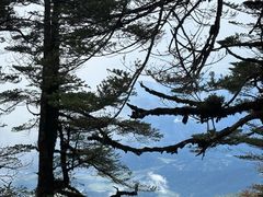 -瓦屋山景区
