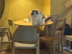 -白兔子密室(长寿路店)