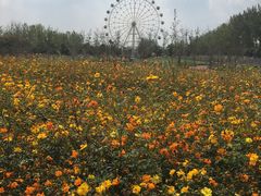 -云幽谷旅游区