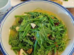 上汤丝瓜苗-西江美食舫·江西菜(健德桥店)