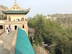 景点-武汉大学-樱园