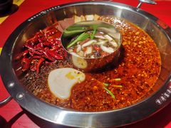-谭鸭血老火锅(万象九宜城店)