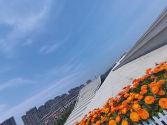 -海尔世界家电博物馆
