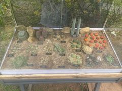 -中国科学院西双版纳热带植物园