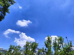 -安徽医科大学第一附属医院(绩溪路院区)