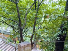 -狼山风景名胜区