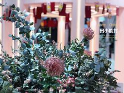 -好看加白色房子