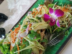 -Jungle Kitchen