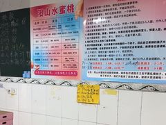 -老袁家蜜桃农场·阳山水蜜桃