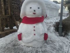 -长春市南湖公园