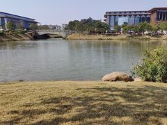 -长洲岛