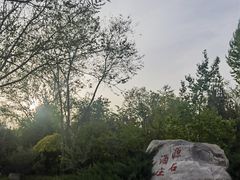 -源石酒庄