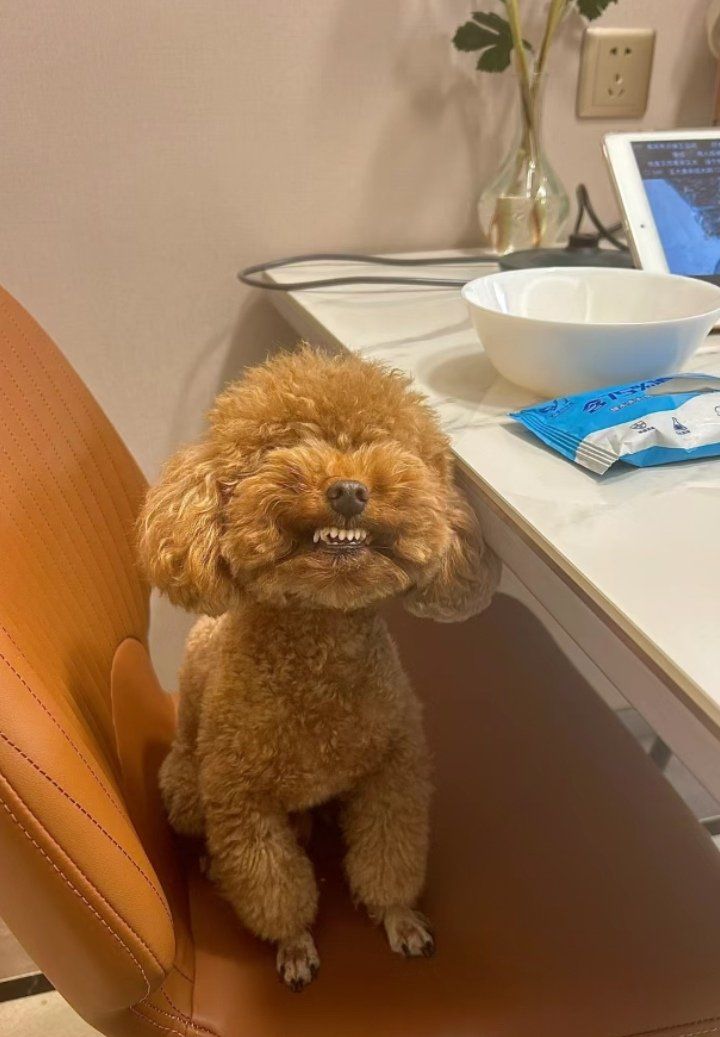 笑这么开心,是在展示你洁白的牙齿吗