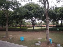 -顺峰山公园