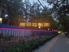 -枫花园汽车电影院(朝阳公园店)