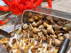 -太湖饭店玉兰厅(自助餐厅)