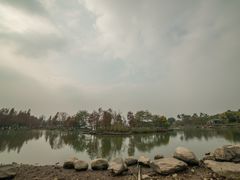 -海珠湖公园