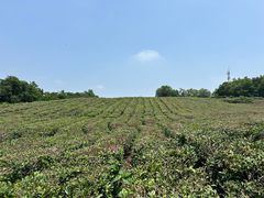 -南京市江宁方山