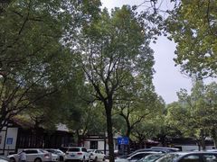 -兴福老面馆(寺路街店)