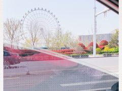 -琴岛之星摩天轮