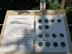 -成都市活水公园