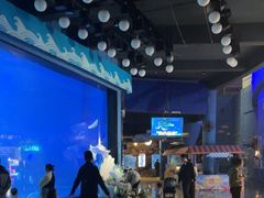 -烟台海昌鲸鲨海洋公园