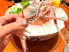-月龍吟(朝龙汇店)