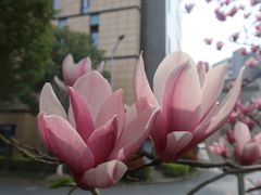 -前小桔亲子创意农场·草莓采摘·露营烧烤