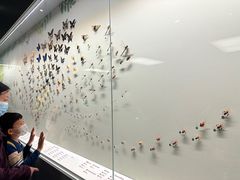 -香港科学馆