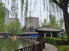 -团结湖公园