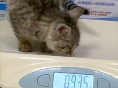 -安安宠医·臻爱宠物医院·宠保定点(营门口路分院)