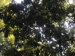 -侵华日军南京大屠杀遇难同胞纪念馆